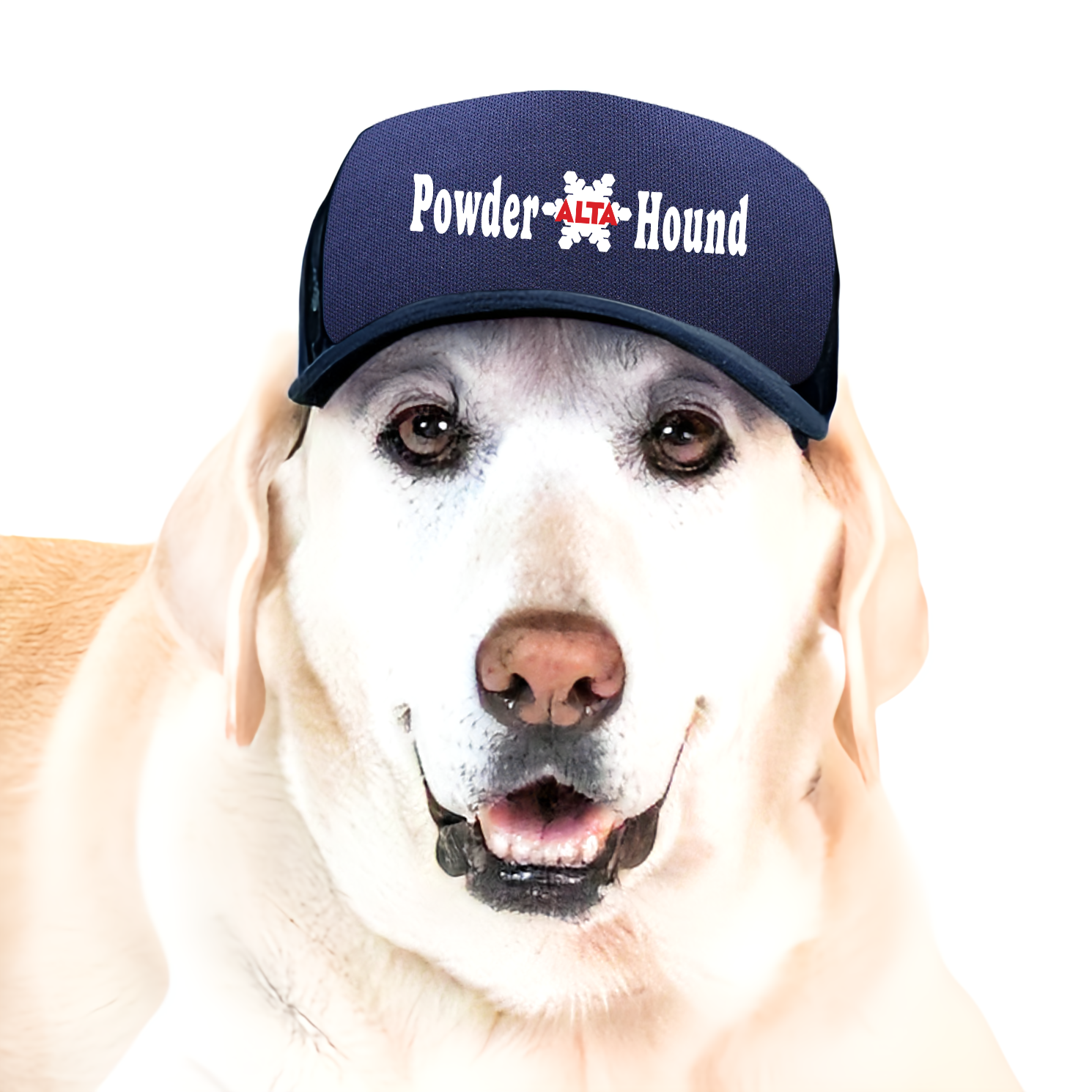 Baseball Cap Puplid Hats Amazon PupLid Dog Baseball Cap (X-Small